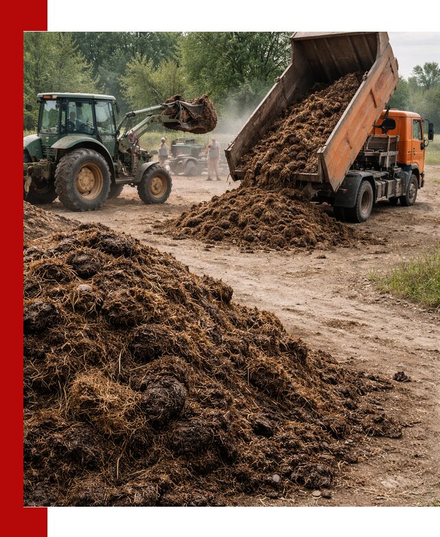 Доставка навоза самосвалами в ельце для сельхозпотребностей